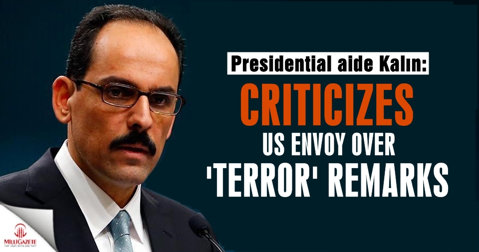 Turkey criticizes US envoy over 'terror' remarks
