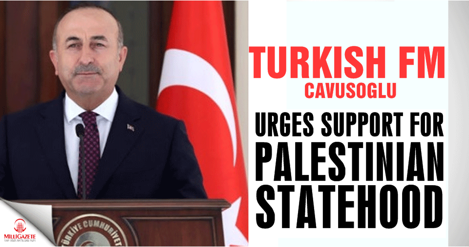 Turkey’s FM urges support for Palestinian statehood