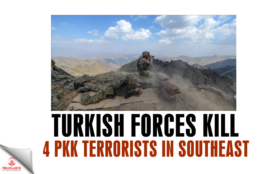 Turkish forces kill 4 PKK terrorists in southeast
