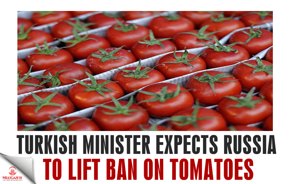 Turkish minister expects Russia to lift ban on tomatoes in 1-2 days