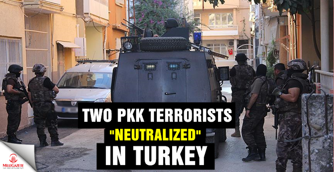 Two PKK terrorists 'neutralized' in Turkey