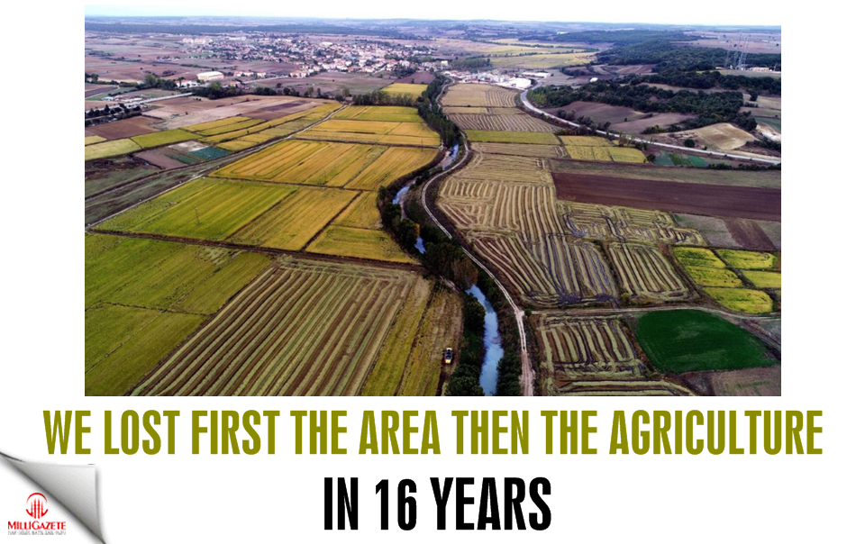 We lost first the area then the agriculture in 16 years