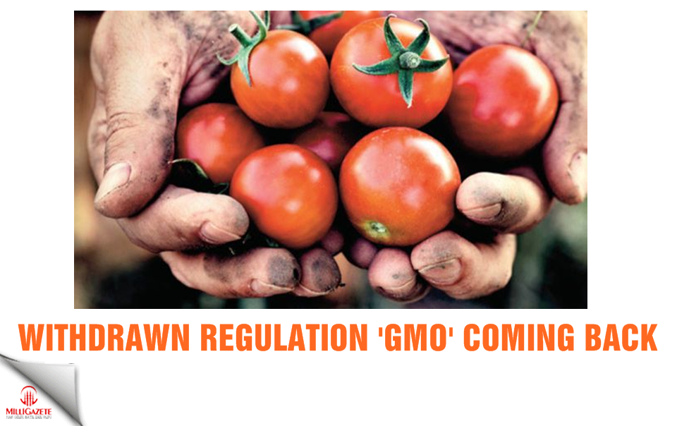 Withdrawn regulation 'GMO' coming back