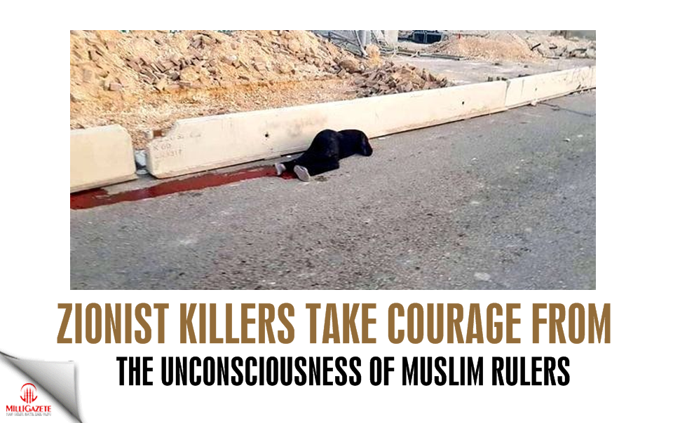 Zionist killers take courage from the unconsciousness of Muslim rulers