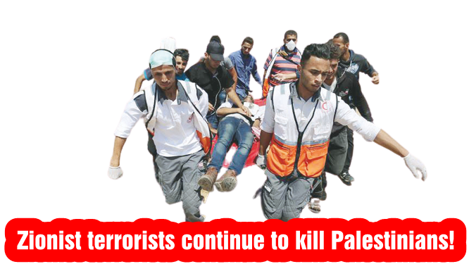 Zionist terrorists continue to kill Palestinians!