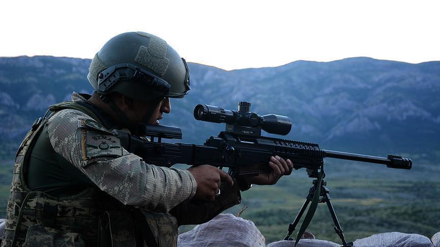 60 PKK terrorists killed in SE Turkey last week: Army