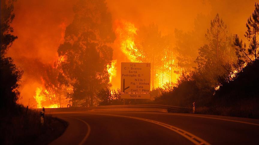 61 killed in deadly forest fire in Portugal