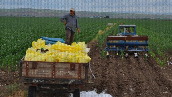 A blow of 1.7 billion liras to agriculture and farmers in 80 days!