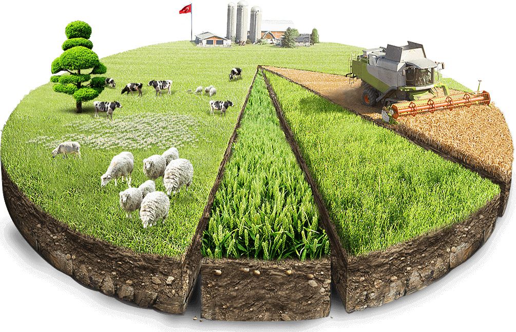 Agriculture has become a very serious security issue