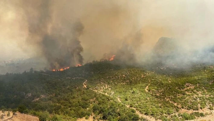 Çanakkale wildfire brought under control after 48 hours