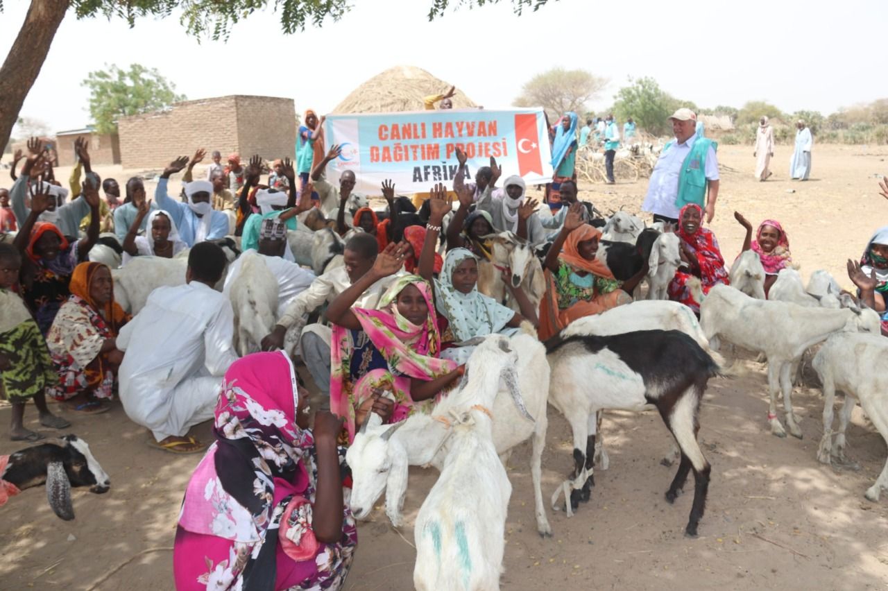 Cansuyu Aid Association extends a helping hand to Chad