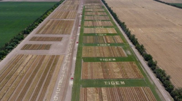 Controversial appointment to General Directorate of Agricultural Enterprises
