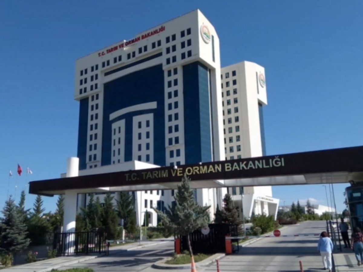 Corruption deepens… Ministry of Agriculture plays ostrich!