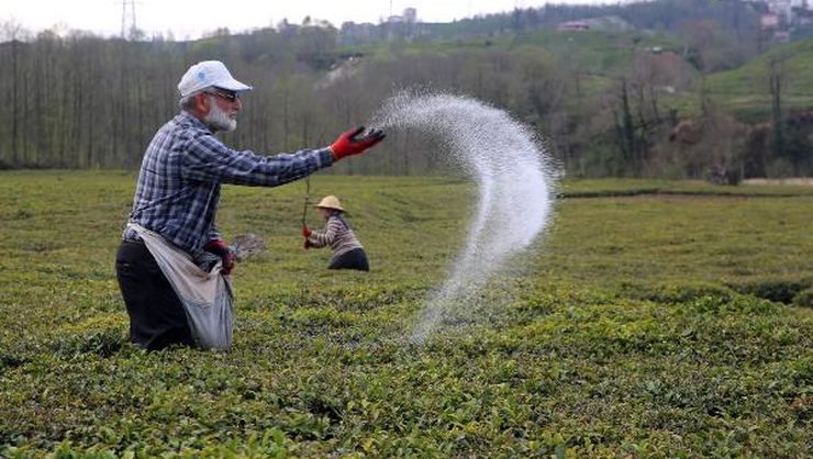 Deputies ask Erdogan about fertilizer prices!