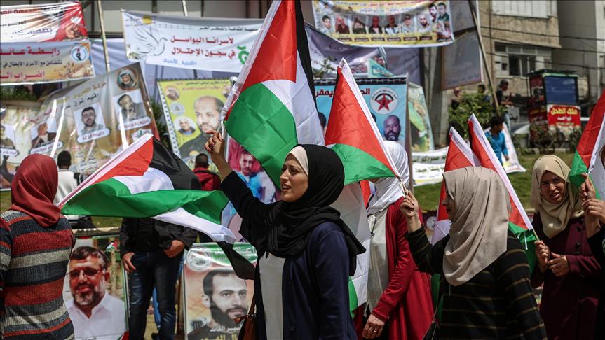 Dozens more jailed Palestinians join hunger strike