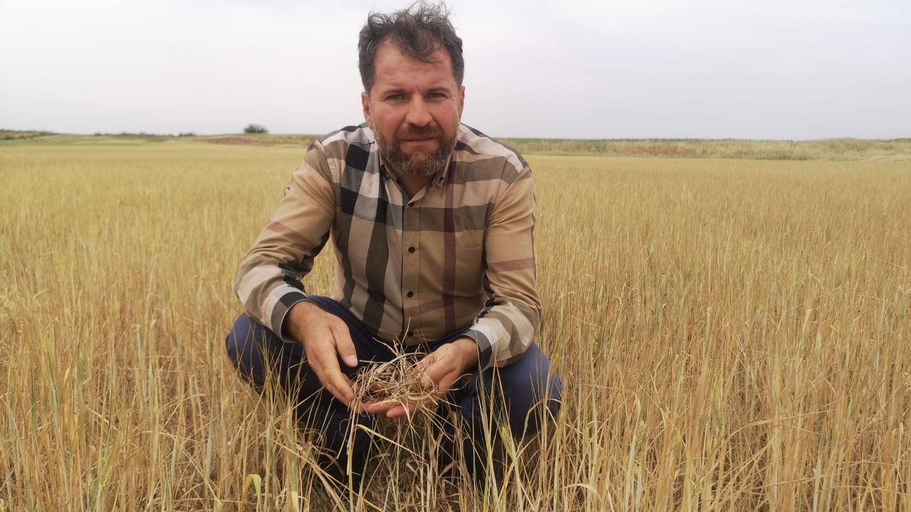 Drought hits the farmers in Turkey