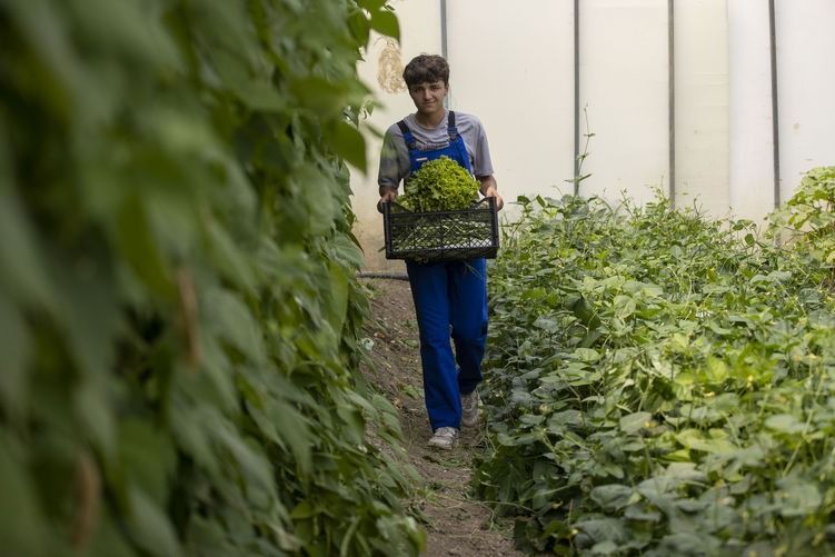 Dutch model in agricultural education