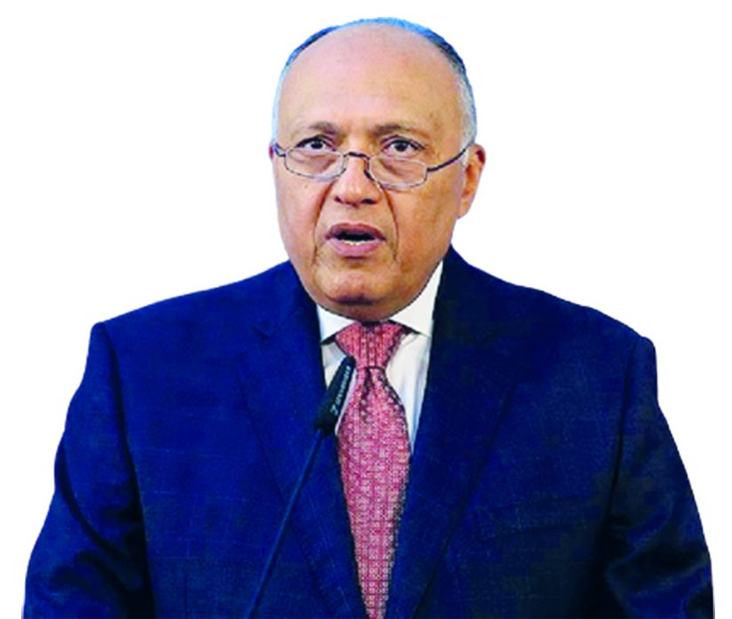 Egyptian Foreign Minister: 