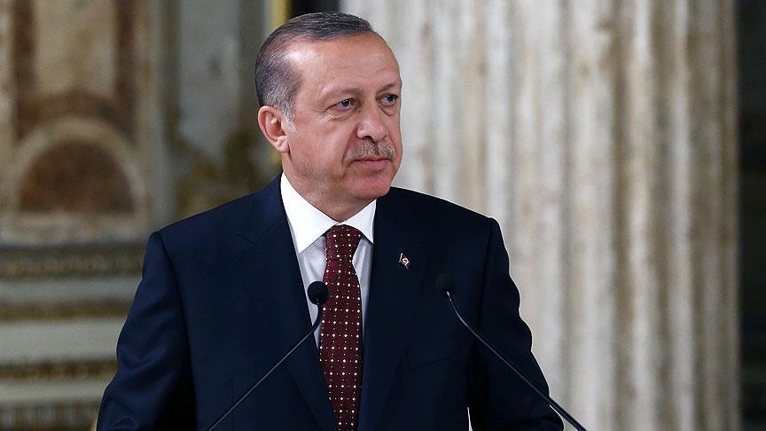 Erdogan files complaint against ex-Pentagon official