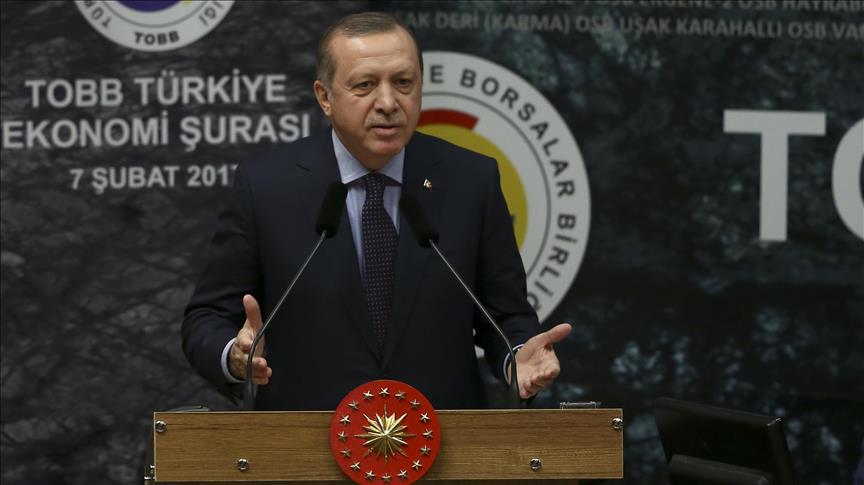 Erdogan: Referendum in Turkey is none of your business. Who are you?