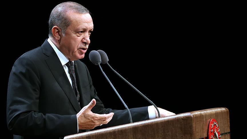 Erdogan says new 'Lawrences of Arabia' will not succeed