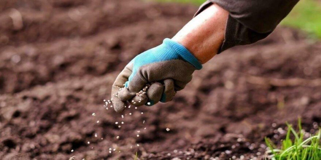 Farmer may face fertilizer crisis!