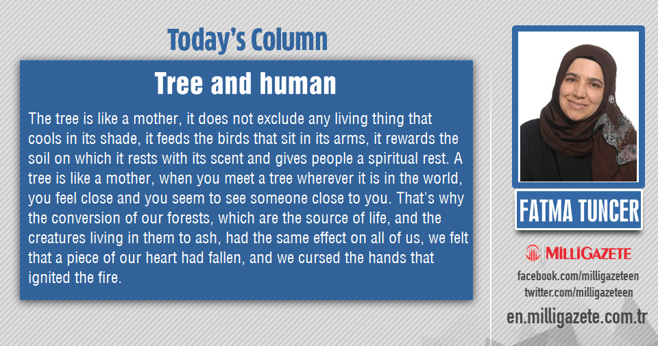 Fatma Tuncer: "Tree and human"