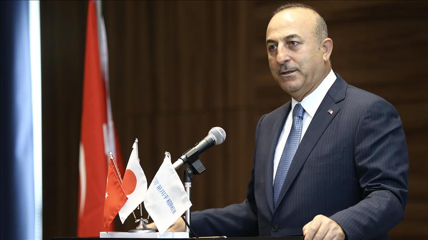 FETO 'big in Japan,' Turkish foreign minister says