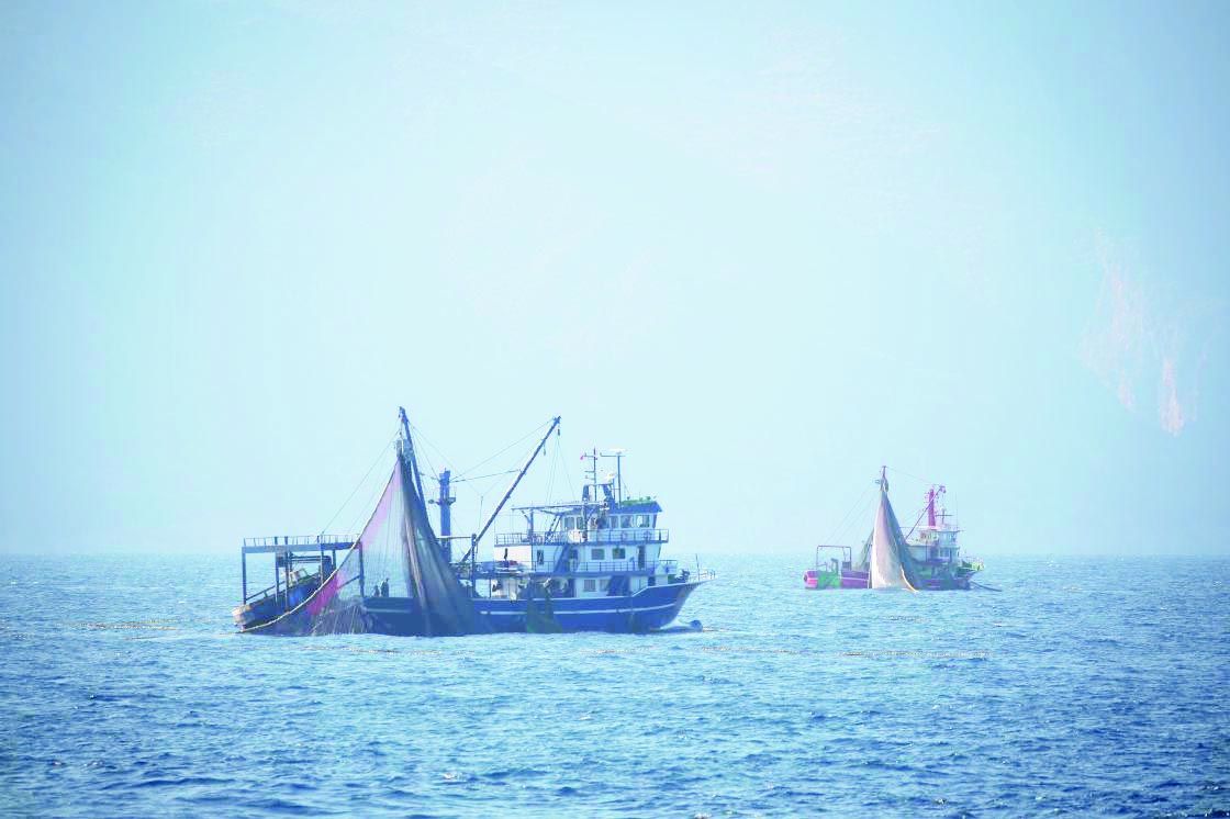 Fisheries Cooperative President says quota should be applied in fishing