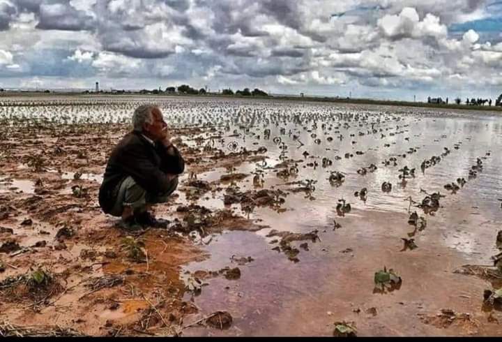 Food crisis is coming but farmlands are flooded!