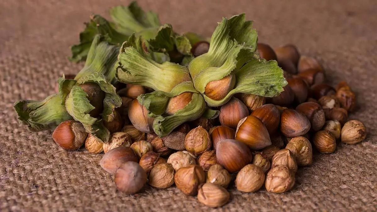 Hazelnuts producers awaiting Soil Products Office to announce new prices