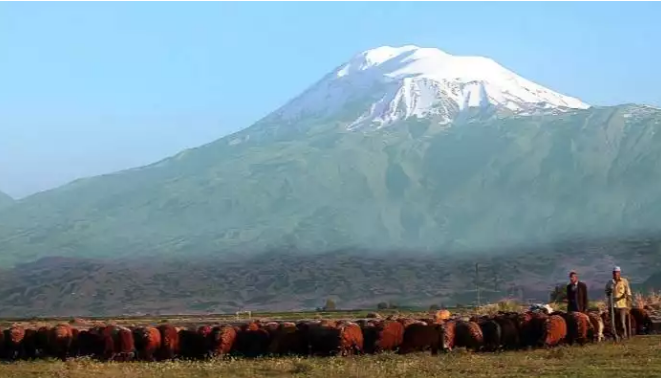 Is the plain of Iğdır sold to the Israelis?