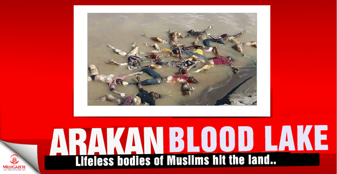 Lifeless bodies hit the land in Arakan