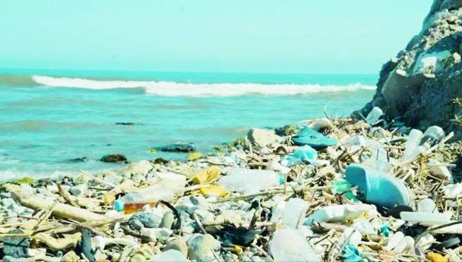 Marmara Sea alarming due to pollution