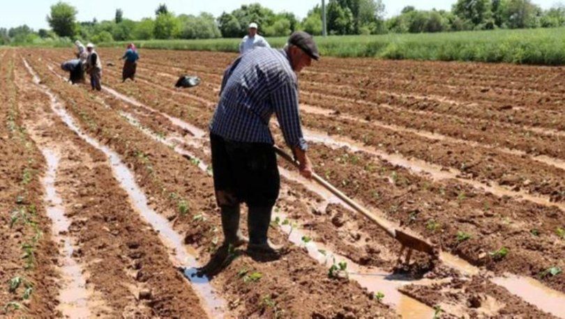 Milli Gazete reveales the mind-blowing game in fertilizer