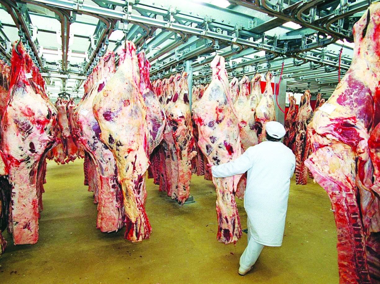 Mysterious import of carcass meat