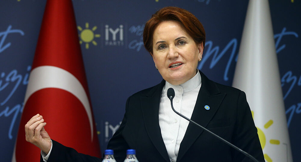 Opposition party leader criticizes government over high taxes