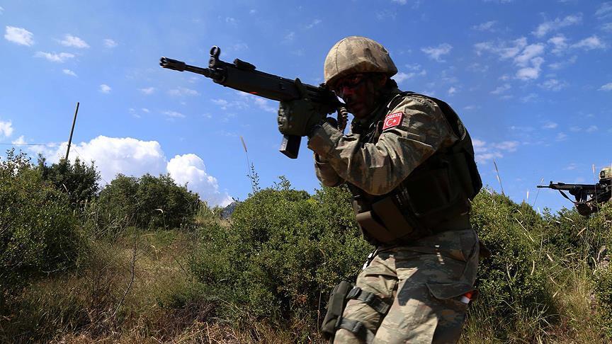 Over 40 PKK terrorists 'neutralized' in eastern Turkey