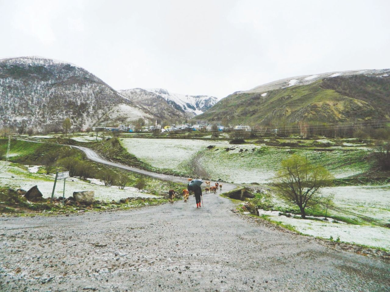 Snowfall in Türkiye's northeast Posof