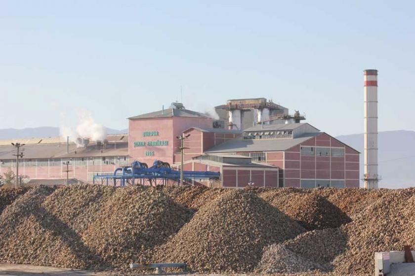 Sugar factories have been derelict for 9 months!
