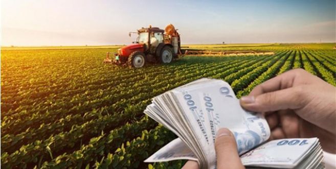 The amount of credit used by the farmer increases in Turkey 