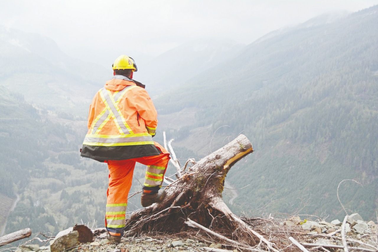 The bag law includes 'Martyrdom status' for forest workers