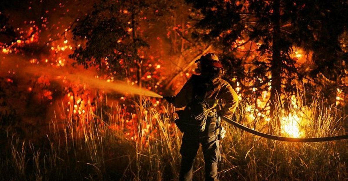 The fires were not a lesson, no measure for fires!