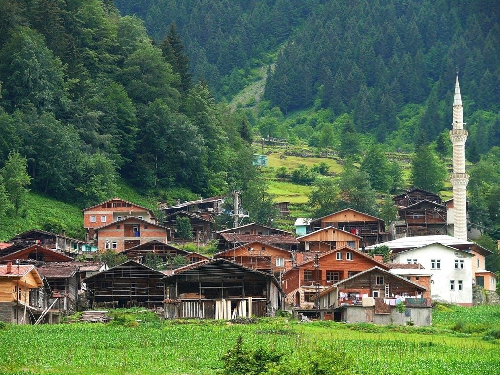 The rate of population living in the village has decreased to 6,8 percent! Villages are migrating