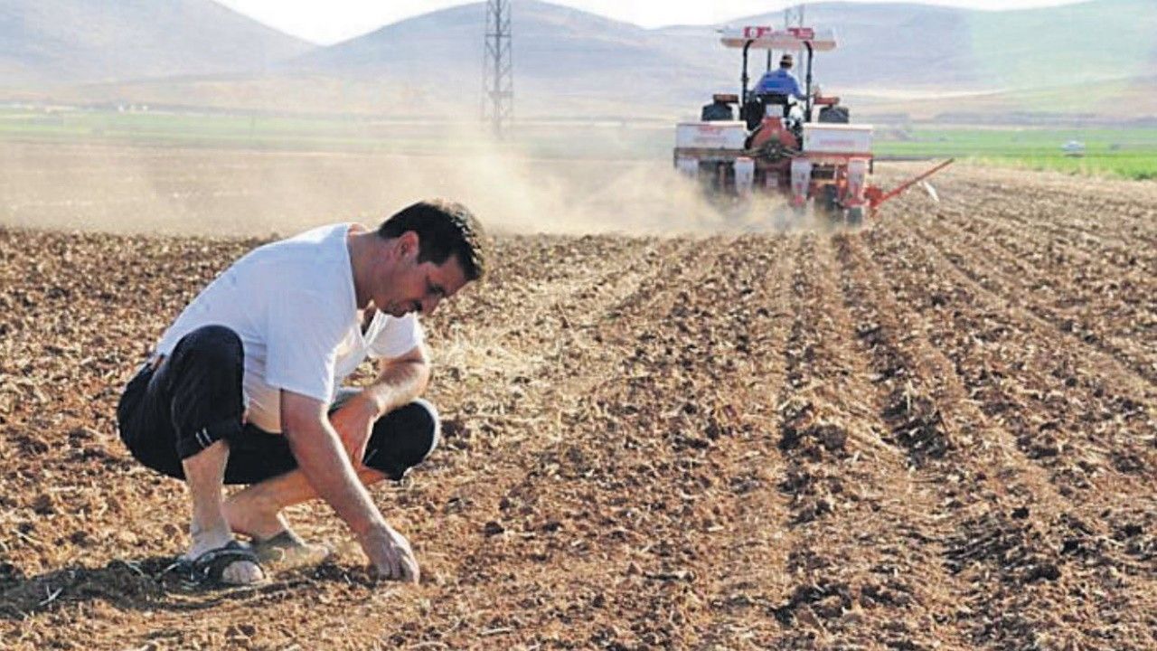 This is how they destroyed agriculture! 60 million liras for the fictitious tender!