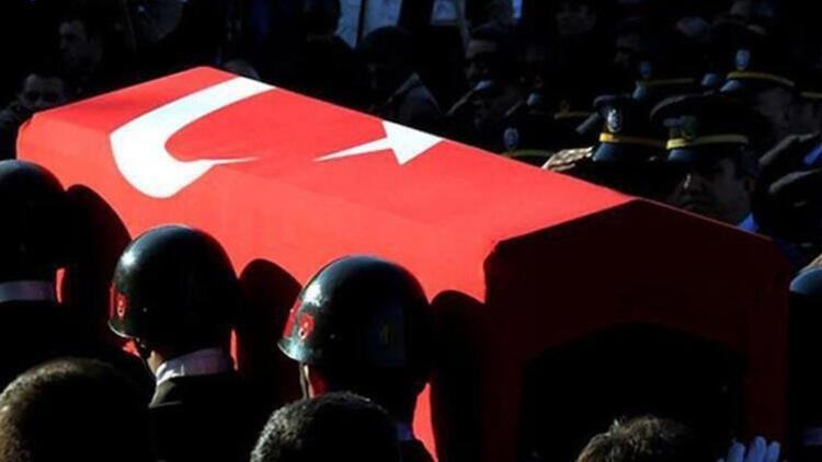 Turkey: 2 gendarmeries martyred in clash with terrorists