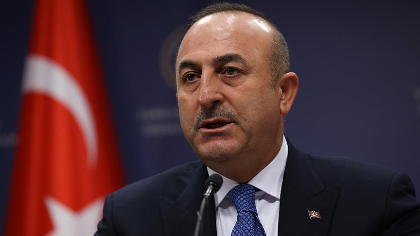 Turkey hopes normalized ties with Germany: FM