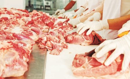 Turkey: Meat imports do not provide solutions