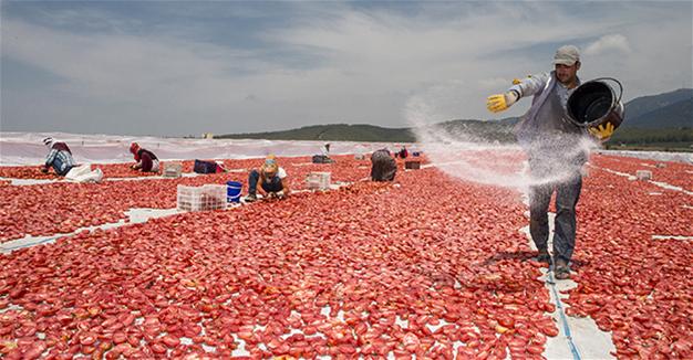 Turkey says it may need to take action against Russia’s tomato restrictions