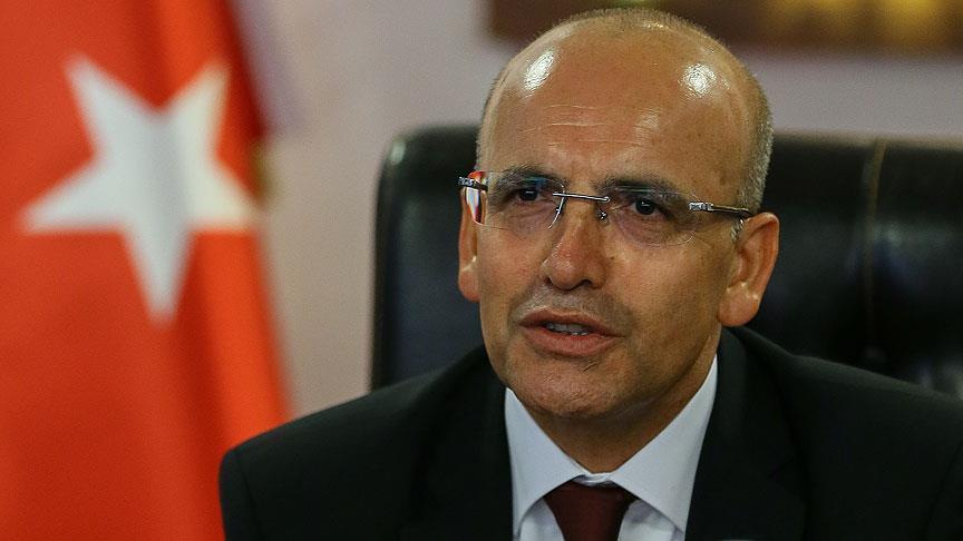 Turkish economy to grow 5-6 pct in 2017: Deputy PM